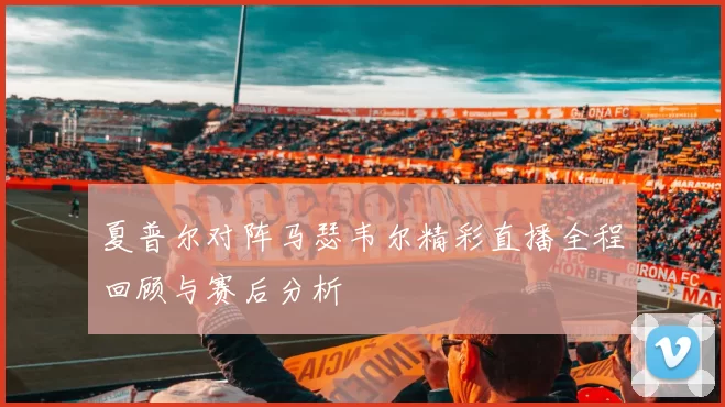 夏普尔对阵马瑟韦尔精彩直播全程回顾与赛后分析