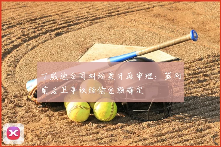 丁威迪合同纠纷案开庭审理,篮网前后卫争议赔偿金额确定