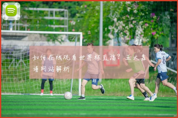 如何在线观看世界杯直播？五大靠谱网站解析
