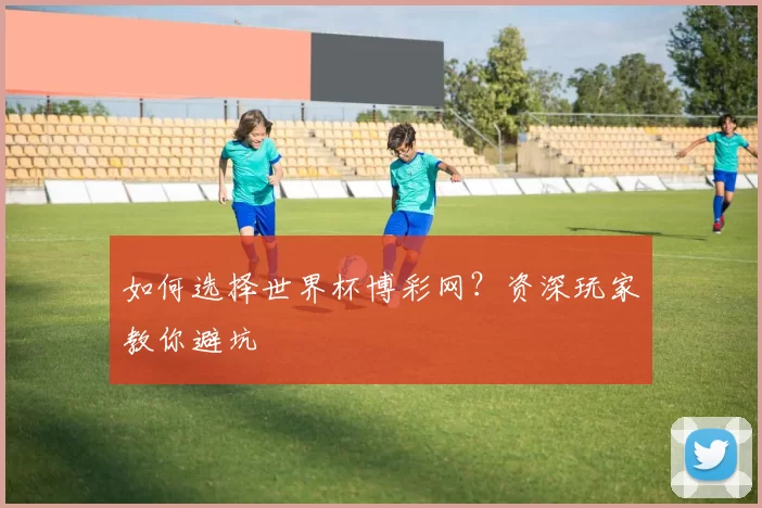 如何选择世界杯博彩网？资深玩家教你避坑