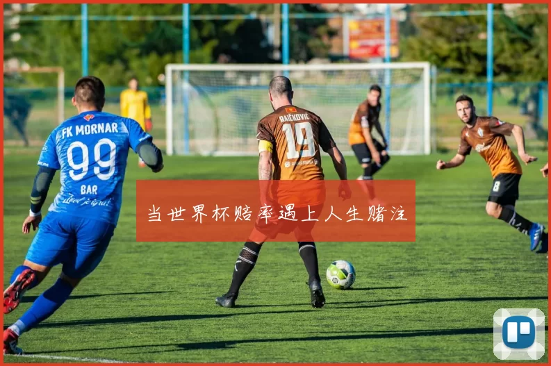 当世界杯赔率遇上人生赌注