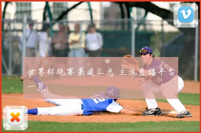世界杯观赛渠道汇总 主流直播平台一览