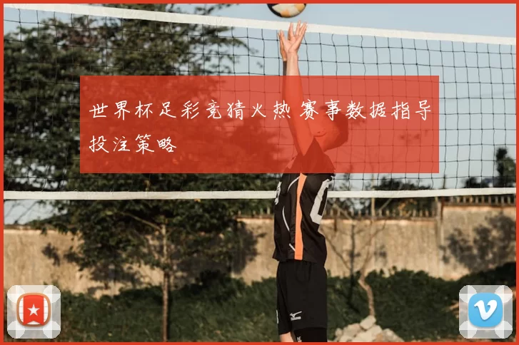 世界杯足彩竞猜火热 赛事数据指导投注策略