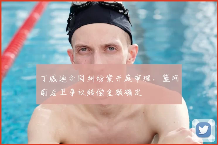 丁威迪合同纠纷案开庭审理,篮网前后卫争议赔偿金额确定