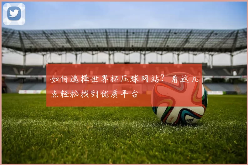 如何选择世界杯压球网站?看这几点轻松找到优质平台
