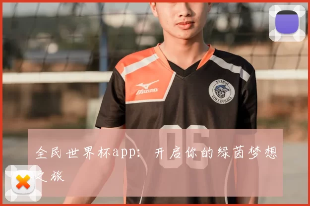 全民世界杯app：开启你的绿茵梦想之旅