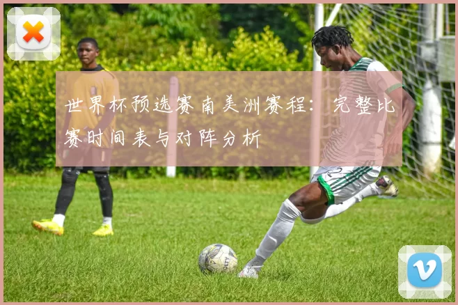 世界杯预选赛南美洲赛程：完整比赛时间表与对阵分析