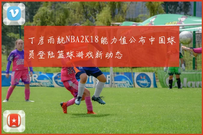丁彦雨航NBA2K18能力值公布中国球员登陆篮球游戏新动态