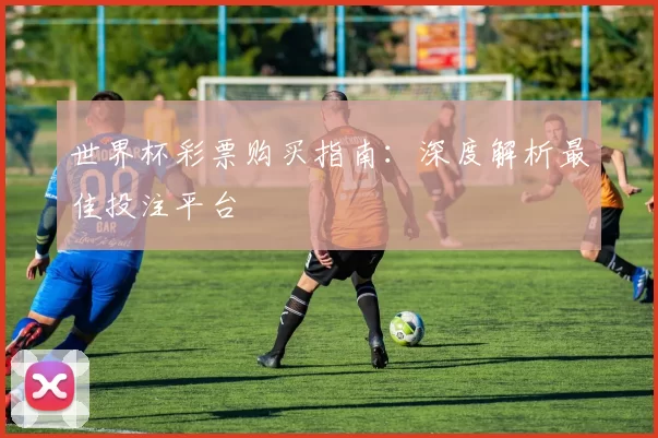 世界杯彩票购买指南：深度解析最佳投注平台