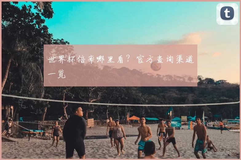 世界杯倍率哪里看?官方查询渠道一览