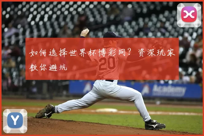 如何选择世界杯博彩网?资深玩家教你避坑