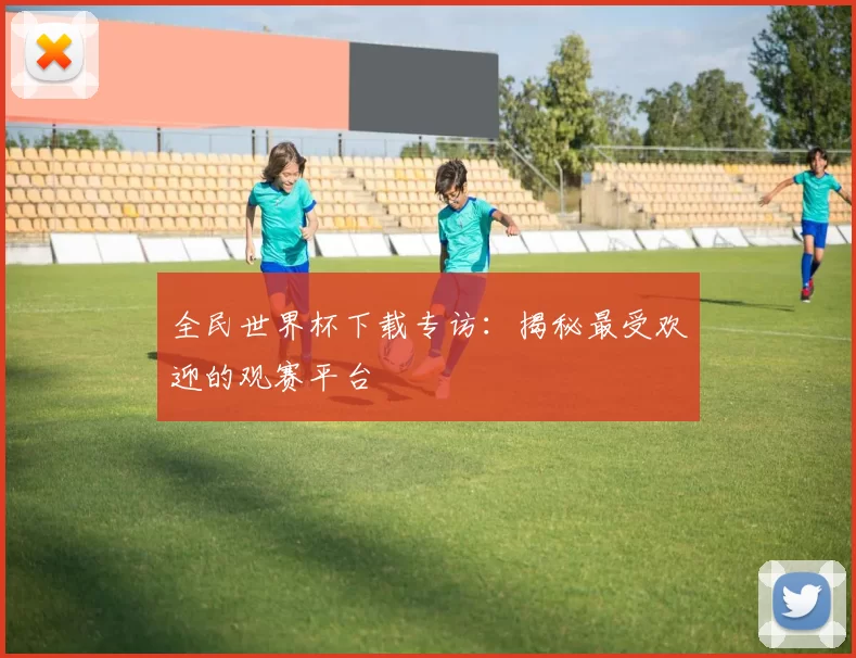全民世界杯下载专访：揭秘最受欢迎的观赛平台